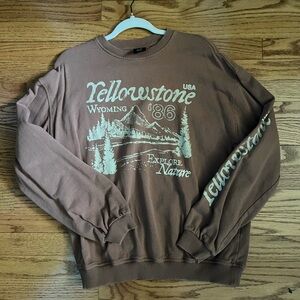 Urban Outfitters Brown Graphic Crewneck Sweater